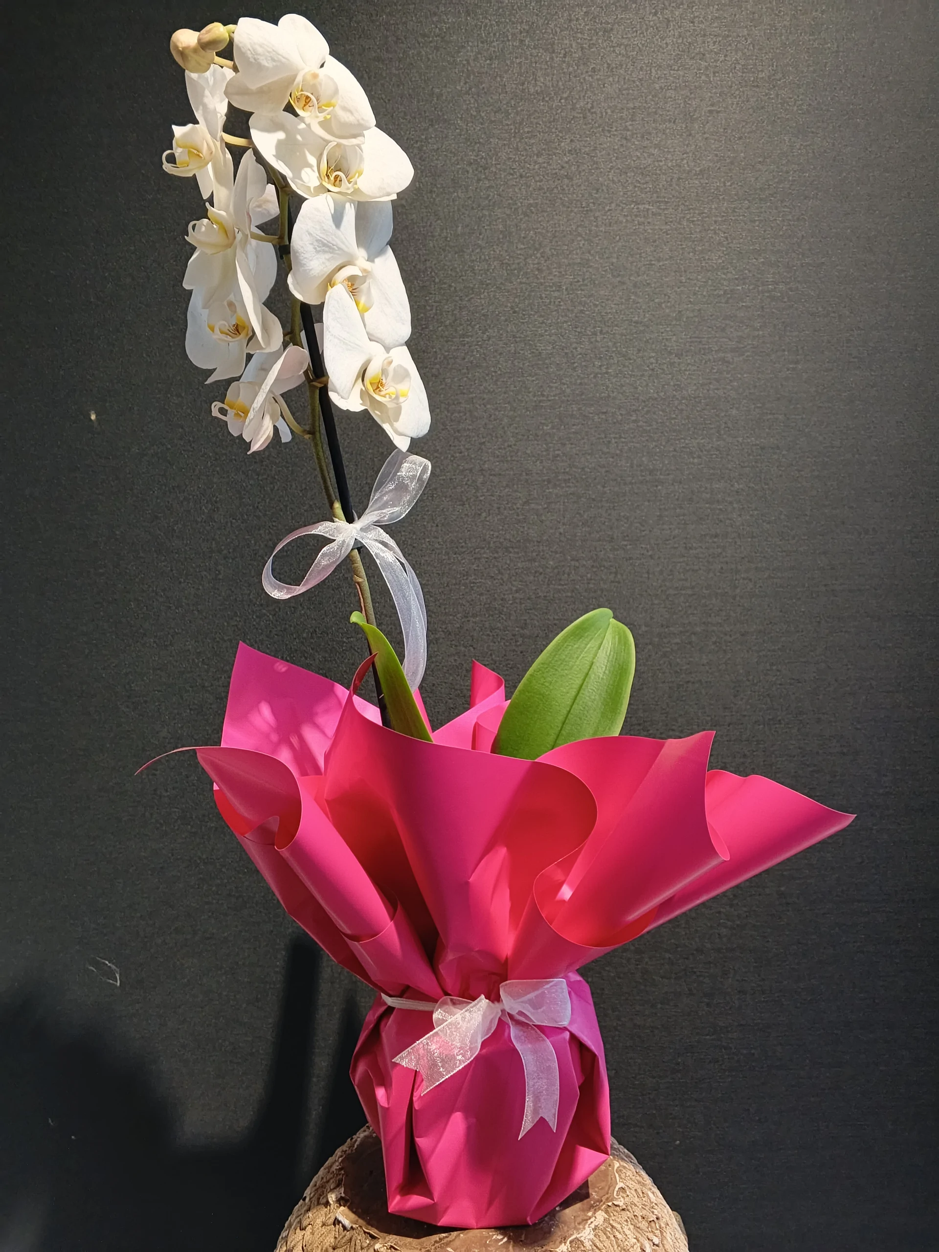 Tek Dal Beyaz Orkide